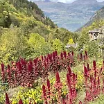 Appartamento Casa Le Bouquetin Introd