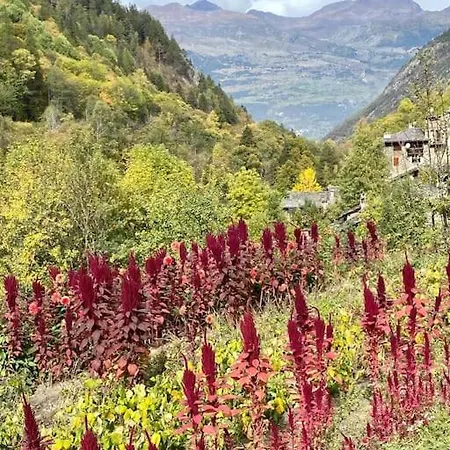 Apartamento Casa Le Bouquetin Introd