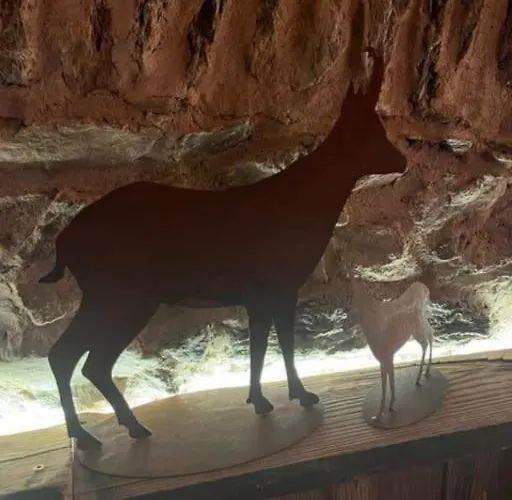 Casa Le Bouquetin Lägenhet *